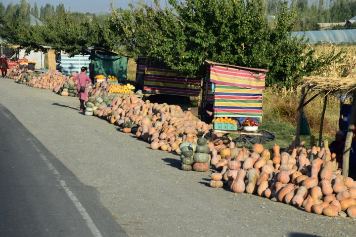 Haufenweise Kürbisse zum Verkauf am Strassenrand