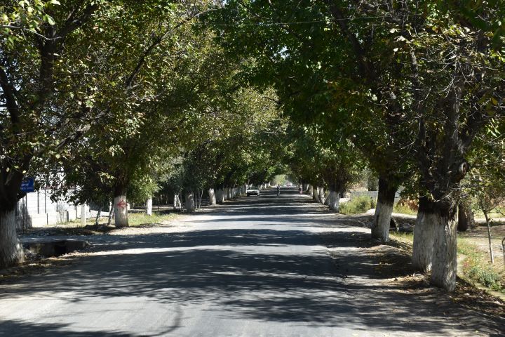 Allee auf dem Weg nach Arslanbob