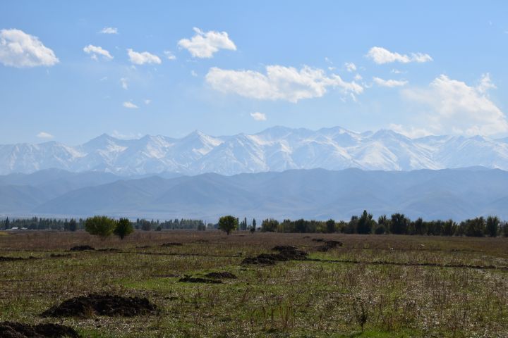 Das Kirgisische Ala-Too Gebirge vom breiten Tal des Chui bei Tokmok aus gesehen