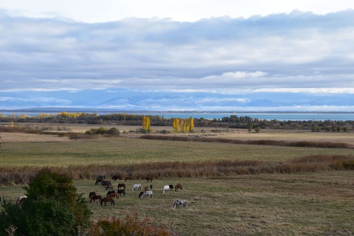 Beim nordöstlichen Ende des Issyk-Köl zwischen Oy-Tal und Oy-Bulak