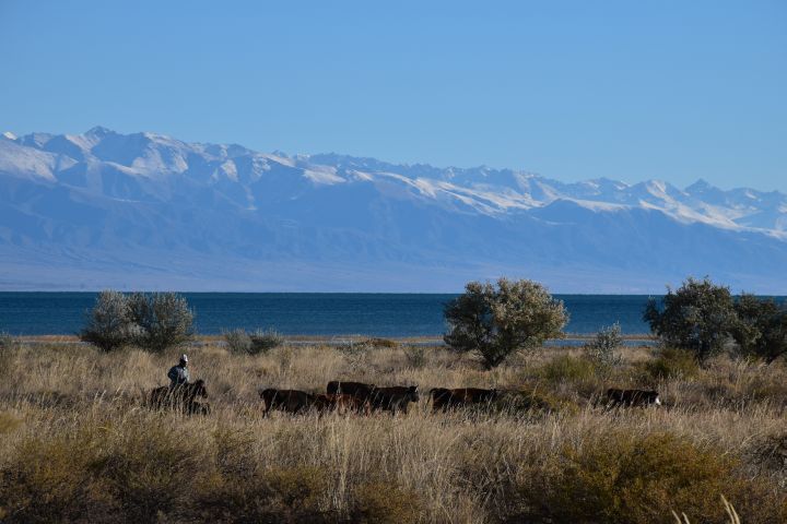 Strahlender Sonnenschein, blauer Himmel, tiefblauer See