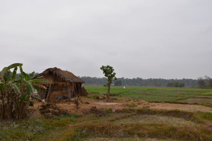 Gehöft bei Thakurdwara