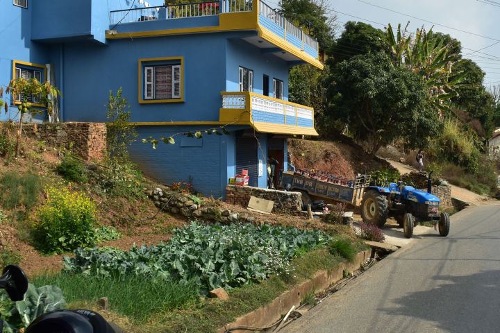 Gemüsegarten am Strassenrand