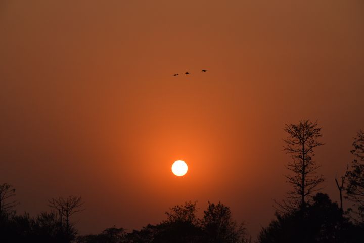 Sonnenuntergang im Koshi Tappu Nationalpark