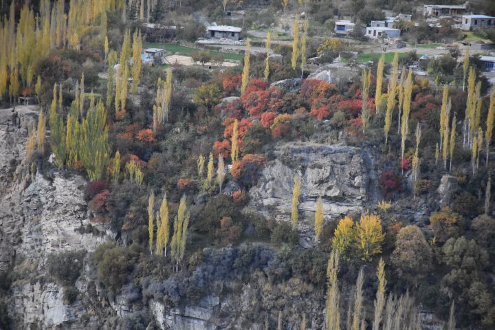 Herbstfarben im Hunza Tal