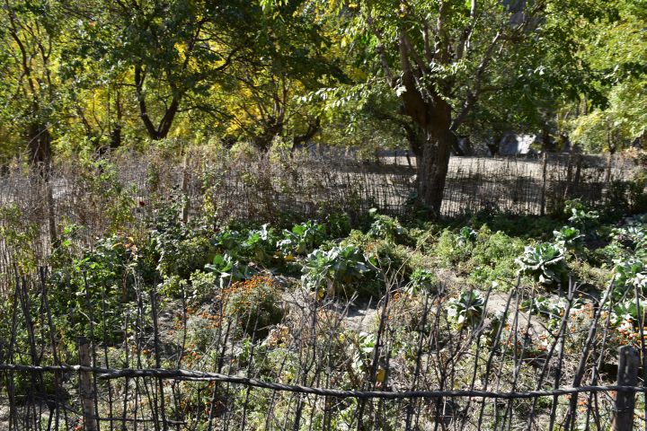 Gemüsegarten am Strassenrand