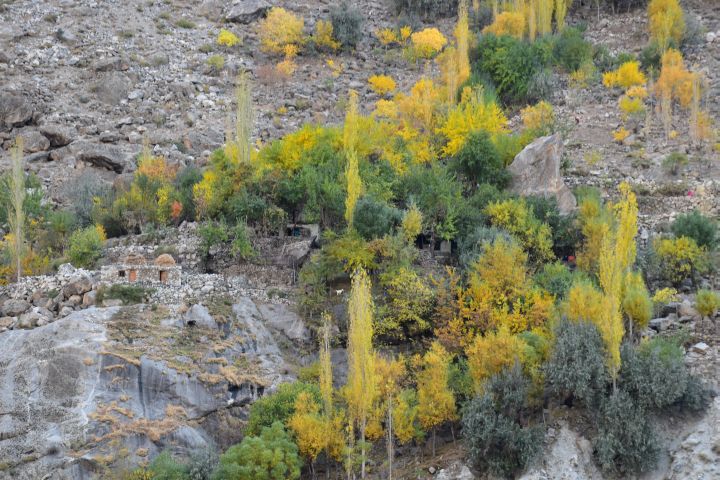 Steinhaus und farbige Bäume in der Nähe von Talu, immer noch im Indus Tal