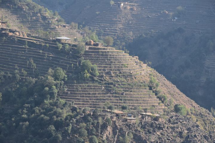 Terrassiertes Indus Tal in der Nähe von Besham