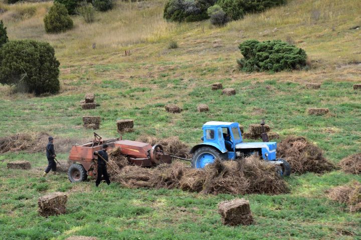 Heuballen werden gepresst