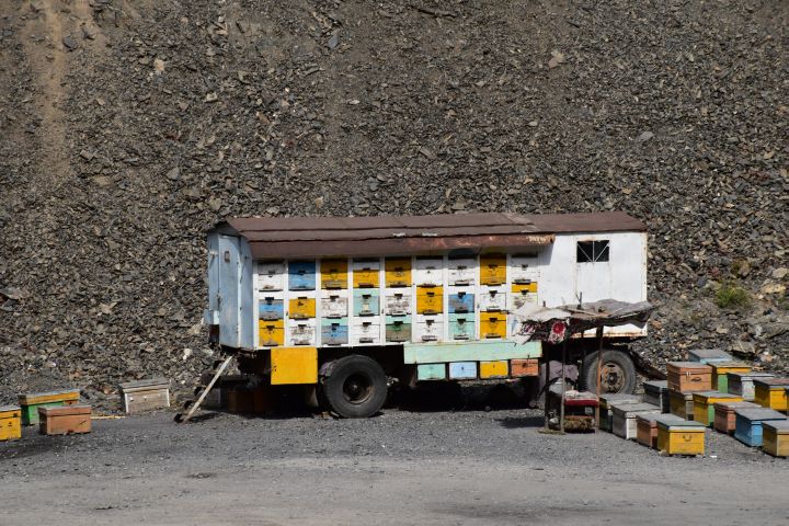 Fahrbarer Bienenstock auf der Südseite des Anzob Tunnels