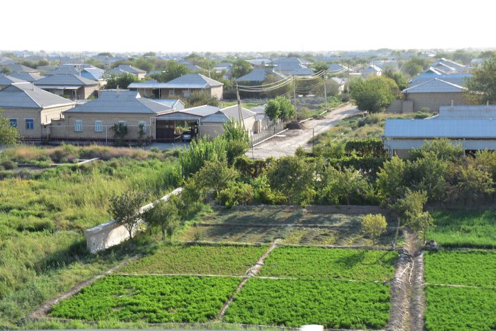 Wohnhäuser und Gärten in einem staatlichen Landwirtschaftsbetrieb bei Bayramaly