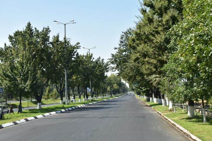 Allee in die Stadt mit wenig Verkehr