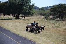 In Botswana sind wieder viele Eselskarren unterwegs