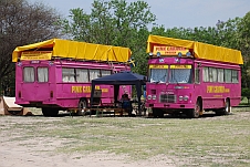 Zwei Pink Caravan aus Schweden