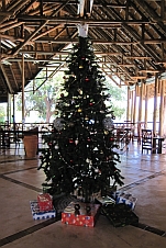 Christbaum in der Chobe Safari Lodge