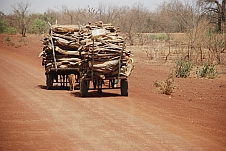 Holztransport kurz nach der Grenze