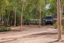 Unser Camp im Eukalyptushain des Hotel OK-Inn