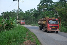 Chinesische Holztransporter unterwegs