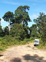 Bushcamp kurz vor Ndjolé