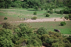 Fast wie im Zoo aber ohne Gitter: Morgentourgruppe beobachtet Elefanten aus nächster Nähe