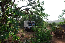 “Baumfällaktion“ auf dem Weg zu den Kambadaga-Fällen