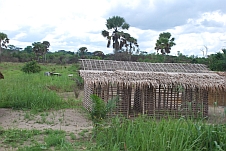 Bambushütte im Bau