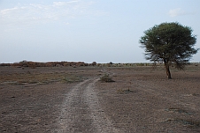 Die Piste im Niger Binnendelta kurz nach Korientzé