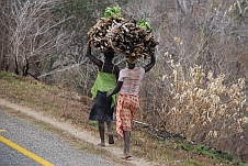 Zwei Frauen tragen Feuerholz nach Hause