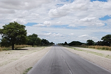 Die Strasse nach Tsumeb vor dem Veterinärszaun...