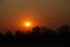Sonnenuntergang am Rande des Etosha Parks