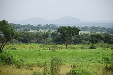 Landschaft zwischen Ilesa und Ogboro