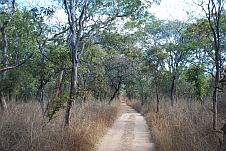 Die Zufahrt in den Kasanka Nationalpark