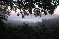 Morgennebel über dem Kasanka