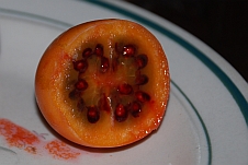 So sieht eine Baum-Tomate aus wenn sie aufgeschnitten ist