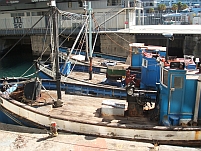 Fischkutter im Victoria&Albert Hafenbecken