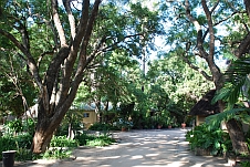 Grünes Numbi Resort in Hazyview