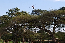 Ein Helikopter fliegt tief über die Bäume