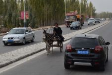 Alter Uigure mit seinem Eselsgespann als Geisterfahrer
