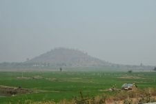 Reisfelder östlich von Shivpuri