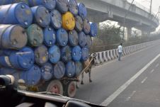 1KS-Gefährt auf der Autobahnauffahrt zur Ring Road von Delhi
