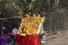 Früchte- und Gemüseverkäufer im Südwesten von Delhi