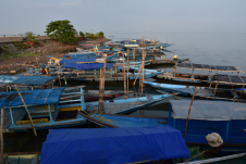 Ausflugsboote im Hafen des ’Wassersportzentrums’