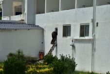 Mann steigt mit Leiter durch ein Fenster ein