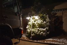 Fast ein bisschen Weihnachtsstimmung: Obelix vor einem von Laternen beleuchteten Tannenbaum mit Schnee