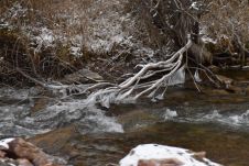 Eisbildung in einem kleinen Fluss