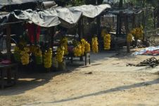 Marktstand mit Bananenstauden am Trisuli