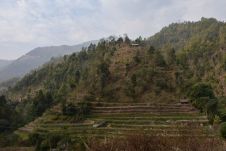Nepalesische Gebirgslandwirtschaft