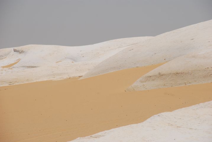 Kalk-&ldquo;D&uuml;nen&ldquo; in der Weissen W&uuml;ste