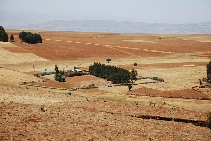 Geh&ouml;ft n&ouml;rdlich von Addis Ababa, zwischen Fiche und Gebre Guracha