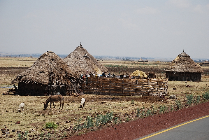Geh&ouml;ft am Weg in die Bale Mountains, bei Dodola, &ouml;stlich von Shashemene